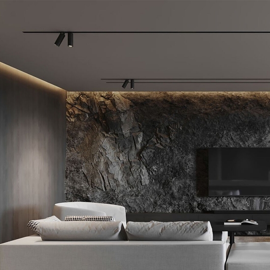 Imagine Spot LED orientabil pentru șină magnetică 10W 950lm 24° 3000K negru BD61-00201