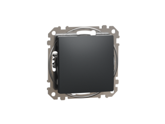 Imagine Intrerupator simplu 10A IP20 Antracit Schneider Sedna Design