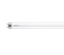 Arată detalii pentru Tub LED Philips T8 8W 840 600mm Ecofit Imagine Tub LED Philips T8 8W 840 600mm Ecofit