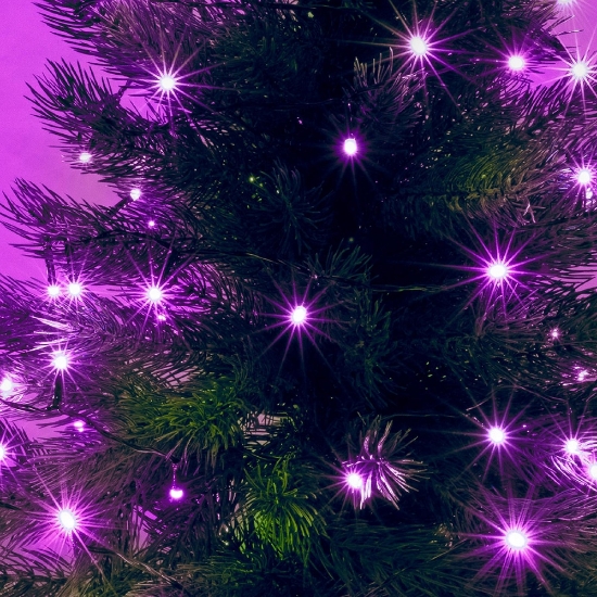 Imagine Ghirlanda luminoasa HOME KII100P, 100 led-uri, 8m, iluminare roz