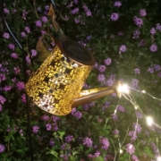 Imagine Lumină solară de grădină, recipient de udare