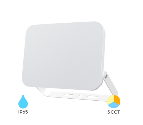 Imagine Proiector LED Slim Braytron 50W 3IN1 IP65 Alb