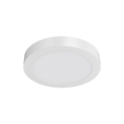 Imagine Spot LED rotund 24W 230V 6400K Braytron BR-BP03-32430