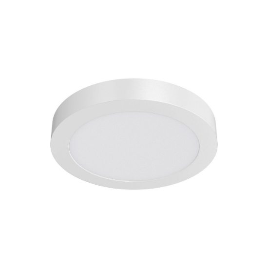 Imagine Spot LED rotund 24W 230V 6400K Braytron