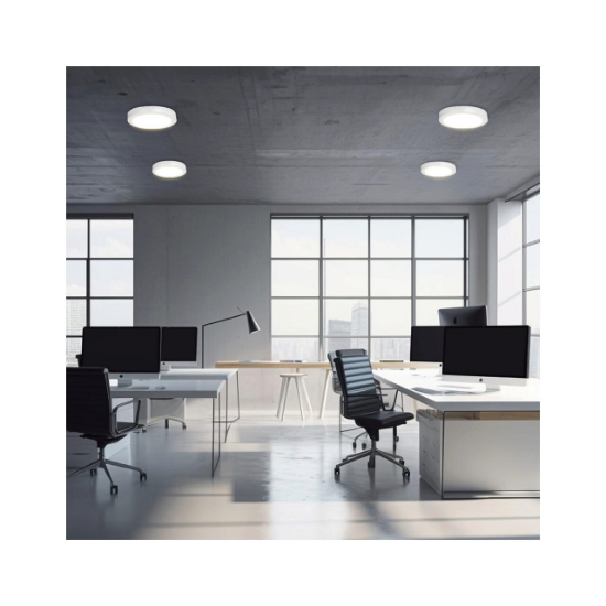 Imagine Spot LED rotund 24W 230V 6400K Braytron