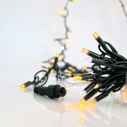 Imagine Șir luminos, 100 LED-uri de 5mm, cablu verde, 90 LED-uri alb cald + 10 LED-uri albe FLASH