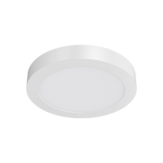 Imagine Spot LED rotund PT 12W 910lm 4200K F:170mm BR-BP03-31210