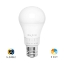 Imagine Bec LED 13.5W 5IN1 A65 PREMIUM E27 BRAYTRON BR-BA13-01380