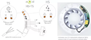 Imagine VENTILATOR 150 "ARID"