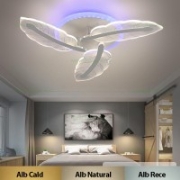 Imagine Ventilator de tavan 35W & plafoniera 22W - alb