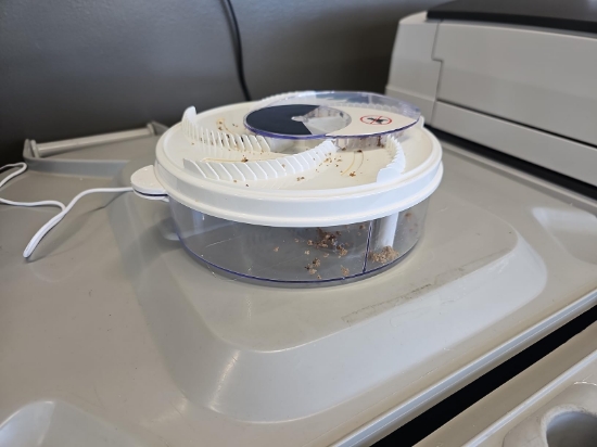 Imagine Electric insect trap (covering 80sq.m)
