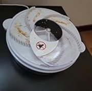 Imagine Electric insect trap (covering 80sq.m)