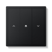 Imagine Intrerupator din sticla "WiFi smart" pentru roller (touch)