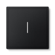 Imagine Intrerupator din sticla "WiFi smart" pentru roller (touch)