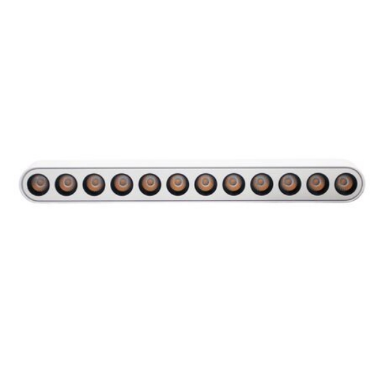 Imagine Corp (lentile la 36 grade) cu LED 12w pentru sina 40VDC lumina calda - alb