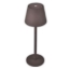 Imagine Veioza LED CCT dimabil reincarcabila - 3W - maro