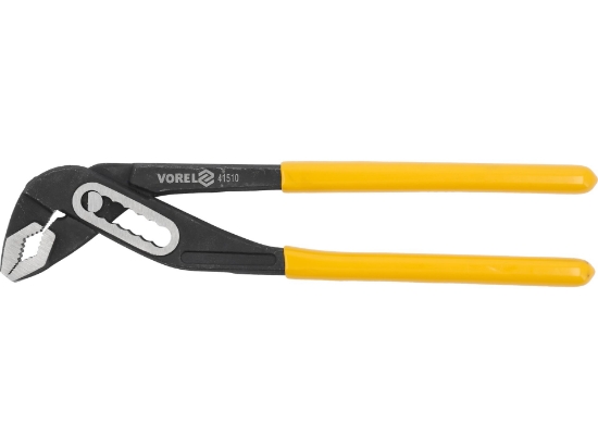 Imagine CLESTE PAPAGAL 250 MM