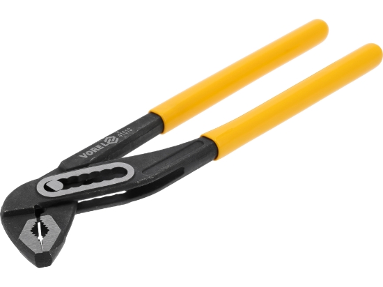 Imagine CLESTE PAPAGAL 250 MM
