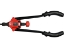 Imagine CLESTE PIULITE NITUIBILEM3,4,5,6,8,10,12