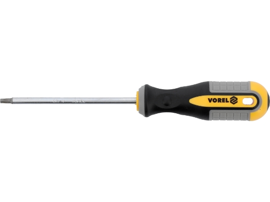 Imagine SURUBELNITĂ TORX T20X100MM CRV
