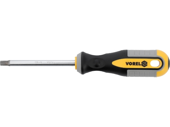 Imagine SURUBELNITĂ TORX T40X100MM CRV