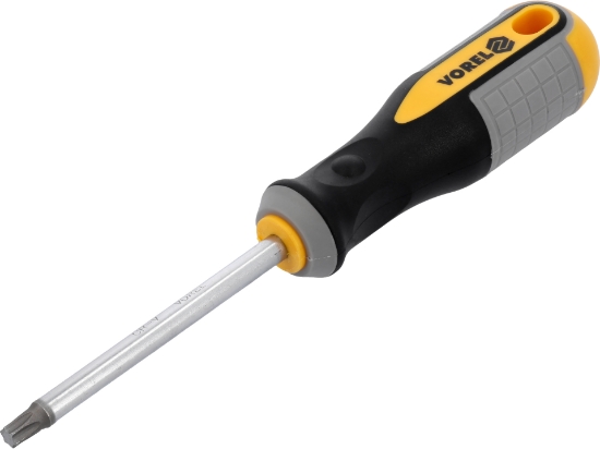 Imagine SURUBELNITĂ TORX T40X100MM CRV
