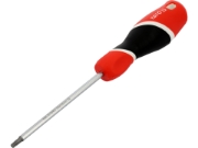Imagine SURUBELNITA TORX T20X100MM