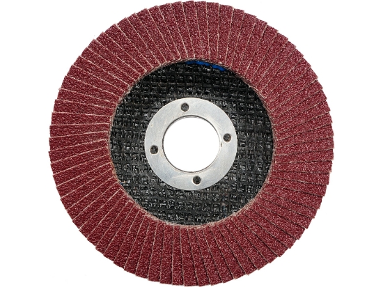 Imagine DISC ABRAZIV LAMELAR P100 115MM