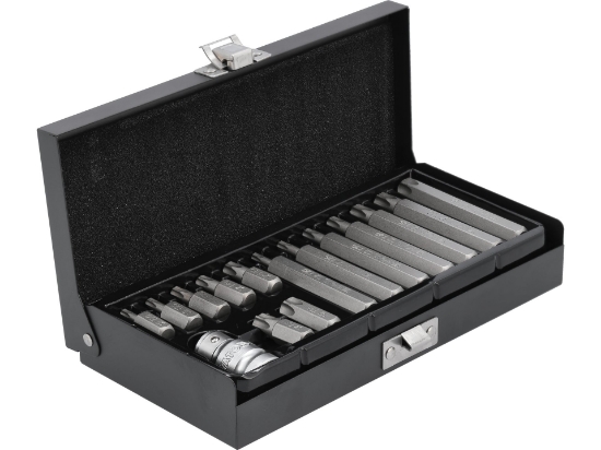 Imagine SET BIȚI TORX 15 PIESE