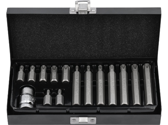 Imagine SET BITI TORX 15 PIESE T20-T55