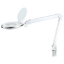 Imagine LAMPA LED CU LUPA 10W 6500K