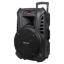 Imagine SISTEM AUDIO PORTABIL SD BLUETOOTH USB 15 INCH 60W