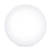 Imagine Plafoniera Adaline LED 38W 40cm 3000-6000K, Erste