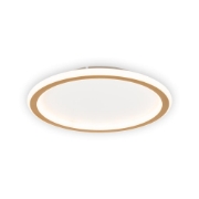 Imagine Plafonieră Gold 30W 30cm 3000-6500K, auriu, Erste