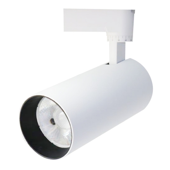 Imagine Spot sina LED 30W 6400K 3150lm, alb, Kendal