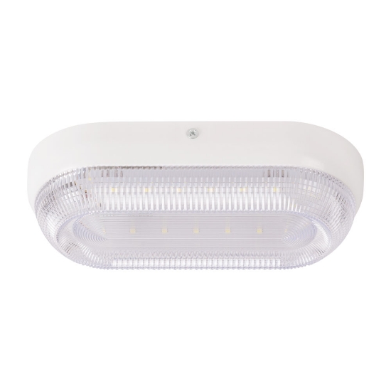 Imagine Corp BAT LED Oval Alb IP54 16W 6500K Dispersor Prismatic - HOMELIGHT