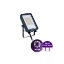 Imagine Proiector LED 30W 3CCT IP65 BVP167 - PHILIPS