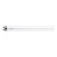 Imagine Tub LED T8 16W 865 1200mm Ecofit, Philips