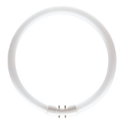 Imagine Tub Fluorescent Circular TL5 22W 830