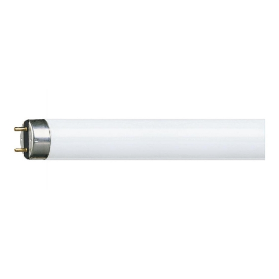 Imagine Tub Fluorescent TL-D Super 80 15W