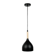 Imagine Pendul Player 1XE27 IP20, negru, Erste