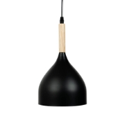 Imagine Pendul Player 1XE27 IP20, negru, Erste