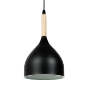 Imagine Pendul Player 1XE27 IP20, negru, Erste