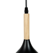 Imagine Pendul Player 1XE27 IP20, negru, Erste