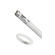 Imagine Tub Fluorescent Insecte T8 15W