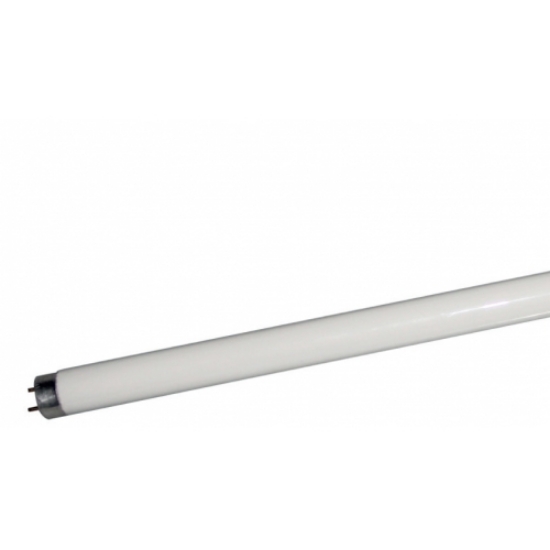 Imagine Tub Fluorescent T8 18W 2700K