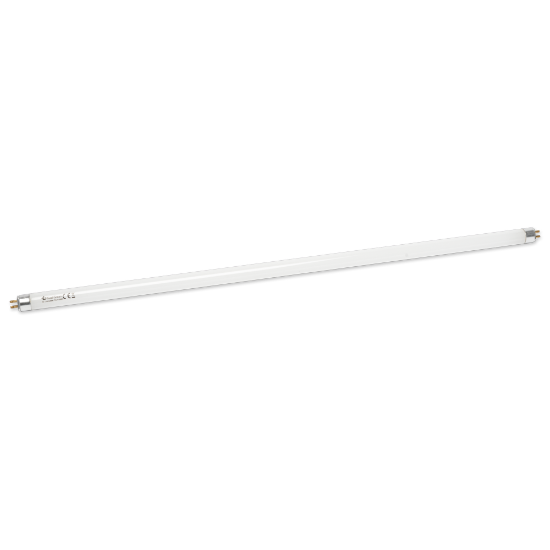 Imagine Tub Fluorescent T5 13W 6500K