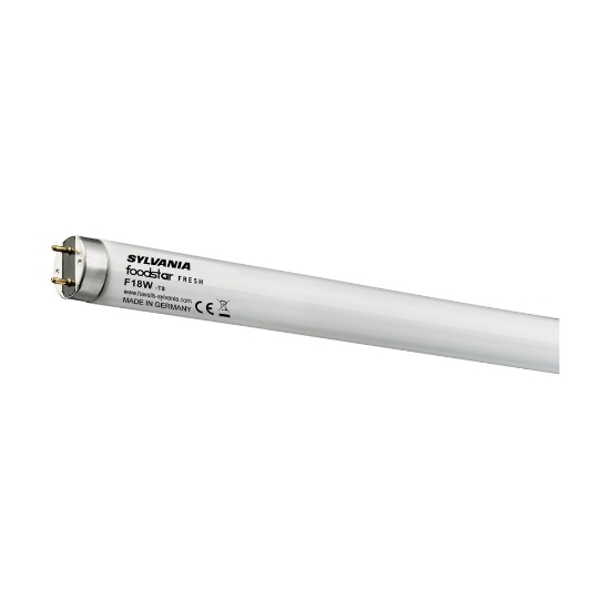Imagine Tub Fluorescent Foodstar Fresh T8 36W