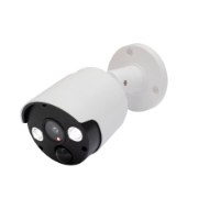Imagine Camera falsa de exterior cu lampa