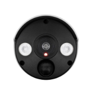 Imagine Camera falsa de exterior cu lampa